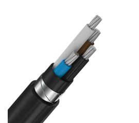 016. Кабель бронированный АВБШв