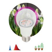 Лампа  FITO-14W-RB-E27-K красно-синий спектр Б0039071 ЭРА