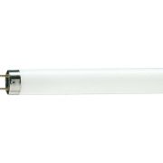 Лампа  TLD 18W/33 Phillips