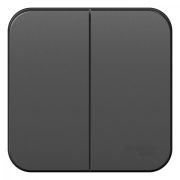 Выключатель о/п 2кл антрацит 10А с изол.пл. BLANCA | BLNVA105016 | SE