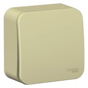 Переключатель о/п 1кл бежевый с изол. пл. 10А BLANCA | BLNVA106017 | SE