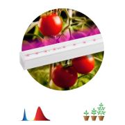 FITO светильник LED красно-син.спектр 14Вт(873мм) без выкл. со шнуром PROM FITO-14W-Т5-N ЭРА