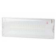 Светильник LED аварийный 3ч  5Вт IP65 40LED постоянный NiCD DPA-301-1-65 ЭРА