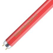 Лампа  L 36W/60 красная OSRAM