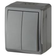 Выключатель о/п 2кл  серый  IP54  11-1404-03 ЭРА Эксперт Б0020676