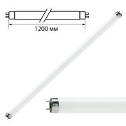 Лампа  TLD 36W/33 Phillips