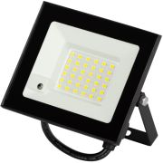 Прожектор LED  30Вт 6500K 2100Лм IP65 д/движения нерегулируемый LPR-041-1-65K-030 ЭРА